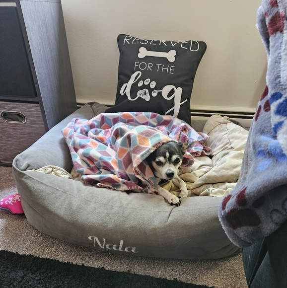 Meet your Posher, Amy - Picture 1 of 1